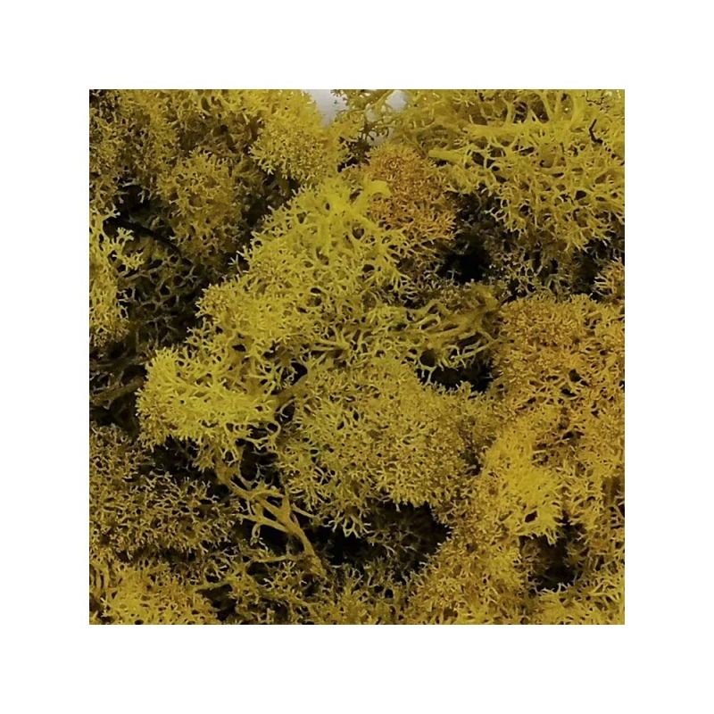 21265208