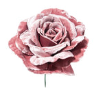 PICK ROSA DELUXE VELVET IN PVC BOX CM.17