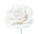 PICK ROSA DELUXE VELVET IN PVC BOX CM.17