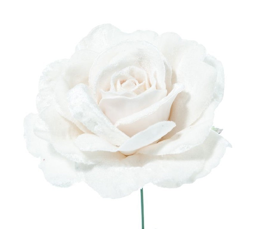 PICK ROSA DELUXE VELVET IN PVC BOX CM.17