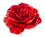 PICK ROSA DELUXE VELVET IN PVC BOX CM.17
