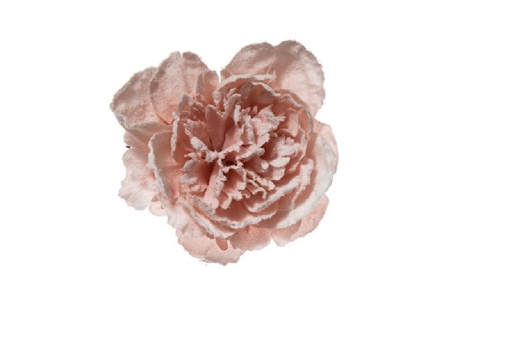 PICK PEONIA INNEVATA IN PVC BOX CM.23
