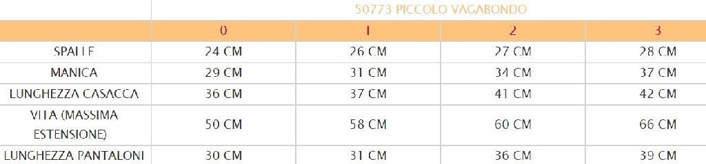 Costume vestito di carnevale Piccolo Vagabondo bambino da 1 a 3 anni
