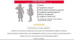 Costume vestito di carnevale Senorita per adulto da S a L